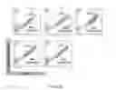Fig. 04 - Engineered intein for improved production of protein-intein fusions