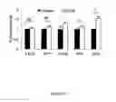 Fig. 09 - Engineered intein for improved production of protein-intein fusions