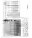 Fig. 06 - Correctly folded etanercept composition