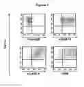 Fig. 02 - Isolated antibody
