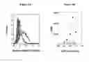 Fig. 05 - Isolated antibody