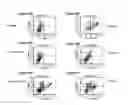 Fig. 10 - Isolated antibody