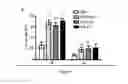 Fig. 05 - ANTAGONIST OF THE BTLA/HVEM INTERACTION FOR USE IN THERAPY