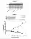 Fig. 31 - METHODS AND COMPOSITIONS FOR INHIBITING CD32B EXPRESSING CELLS