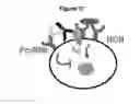 Fig. 42 - METHODS AND COMPOSITIONS FOR INHIBITING CD32B EXPRESSING CELLS
