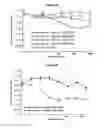 Fig. 43 - METHODS AND COMPOSITIONS FOR INHIBITING CD32B EXPRESSING CELLS
