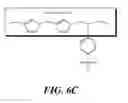 Fig. 06 - Polymeric acid catalysts and uses thereof
