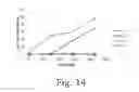 Fig. 17 - Generation of amphiphilic network with an ability to distinguish the transport of IGG and insulin