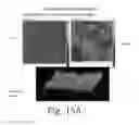 Fig. 18 - Generation of amphiphilic network with an ability to distinguish the transport of IGG and insulin
