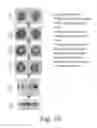 Fig. 20 - Generation of amphiphilic network with an ability to distinguish the transport of IGG and insulin