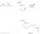 Fig. 24 - Generation of amphiphilic network with an ability to distinguish the transport of IGG and insulin