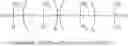 Fig. 27 - Generation of amphiphilic network with an ability to distinguish the transport of IGG and insulin