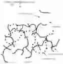Fig. 28 - Generation of amphiphilic network with an ability to distinguish the transport of IGG and insulin