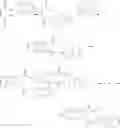 Fig. 20 - Functional norbornanyl ester derivatives, polymers and process for preparing same