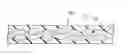 Fig. 01 - FIBER-REINFORCED RESIN SHEET AND PROCESS FOR PRODUCING SAME