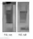 Fig. 12 - Metal nanoparticle-sulfonated polyester composites and green methods of making the same