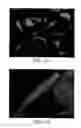 Fig. 04 - COMPONENT PARTS PRODUCED BY THERMOPLASTIC PROCESSING OF POLYMER/BORON NITRIDE COMPOUNDS, POLYMER/BORON NITRIDE COMPOUNDS FOR PRODUCING SUCH COMPONENT PARTS AND USE THEREOF