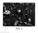 Fig. 05 - COMPONENT PARTS PRODUCED BY THERMOPLASTIC PROCESSING OF POLYMER/BORON NITRIDE COMPOUNDS, POLYMER/BORON NITRIDE COMPOUNDS FOR PRODUCING SUCH COMPONENT PARTS AND USE THEREOF