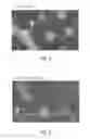 Fig. 04 - Orientation control materials for block copolymers used in directed self-assembly applications