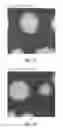 Fig. 08 - Orientation control materials for block copolymers used in directed self-assembly applications