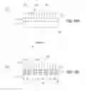 Fig. 13 - Orientation control materials for block copolymers used in directed self-assembly applications
