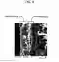 Fig. 07 - Protective coating system for plastic substrate