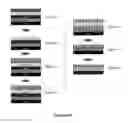 Fig. 04 - Silicon containing block copolymers for direct self-assembly application