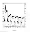 Fig. 16 - Temperature-stable, electrolytic hydrogel and method for stimulating crude oil and natural gas deposits