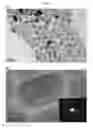 Fig. 03 - Core-shell nanoparticle and method of generating an optical signal using the same