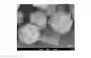 Fig. 01 - Oxynitride phosphor powder
