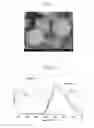 Fig. 02 - Oxynitride phosphor powder