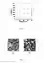 Fig. 02 - MODIFICATION OF RHEOLOGICAL PROPERTIES OF THERMOTROPIC LIQUID CRYSTALLINE POLYMERS FOR MANUFACTURING FILM PRODUCTS