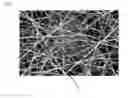 Fig. 05 - Devices and methods for creating and testing microbes and biofilms
