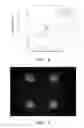 Fig. 05 - Cell separation and culture device