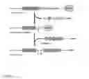 Fig. 02 - Protein modification of living cells using sortase