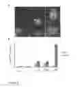 Fig. 12 - Protein modification of living cells using sortase