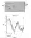 Fig. 03 - Small mobile stem cells (SMS) and uses thereof