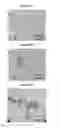 Fig. 06 - Small mobile stem cells (SMS) and uses thereof