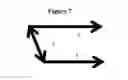 Fig. 08 - Small mobile stem cells (SMS) and uses thereof