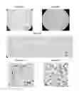 Fig. 10 - Small mobile stem cells (SMS) and uses thereof