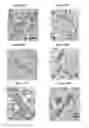 Fig. 12 - Small mobile stem cells (SMS) and uses thereof
