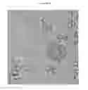 Fig. 32 - Small mobile stem cells (SMS) and uses thereof