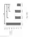 Fig. 12 - Method and pharmaceutical composition for continuously maintaining growth of a motor neuron progenitor cell