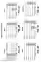 Fig. 06 - Chemical differentiation of pluripotentstem cells into retinal epithelial cells