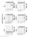 Fig. 09 - Chemical differentiation of pluripotentstem cells into retinal epithelial cells