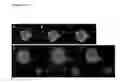 Fig. 11 - CELL PROGRAMMING