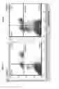 Fig. 10 - Generation of cytotoxic tumor specific cell lines and uses thereof