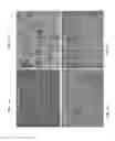 Fig. 12 - Generation of cytotoxic tumor specific cell lines and uses thereof