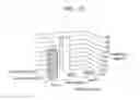 Fig. 14 - Generation of cytotoxic tumor specific cell lines and uses thereof