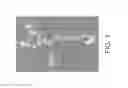 Fig. 02 - Differentiation of pluripotent stem cells and cardiac progenitor cells into striated cardiomyocyte fibers using laminins LN-511, LN-521 and LN-221